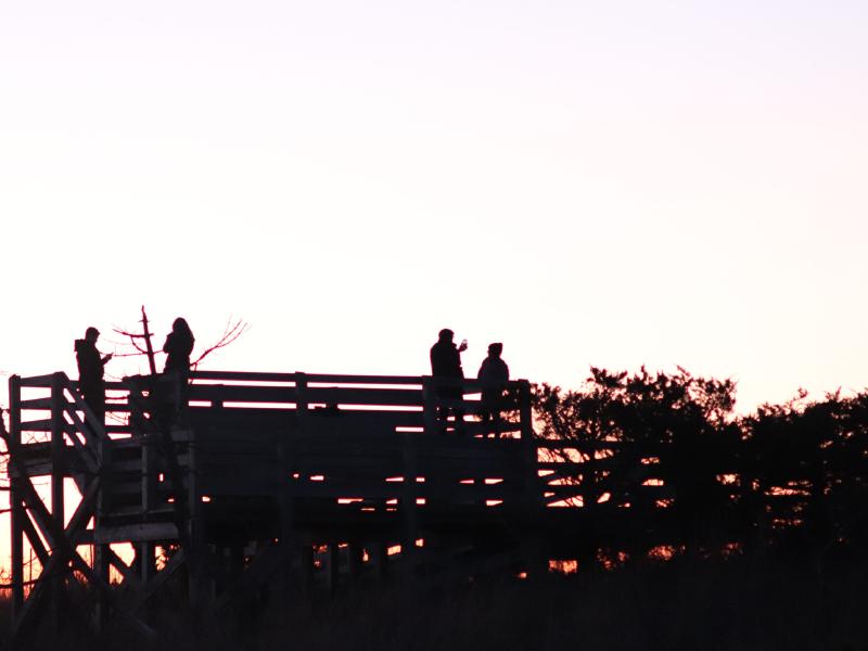 Robert Moses Silhouette